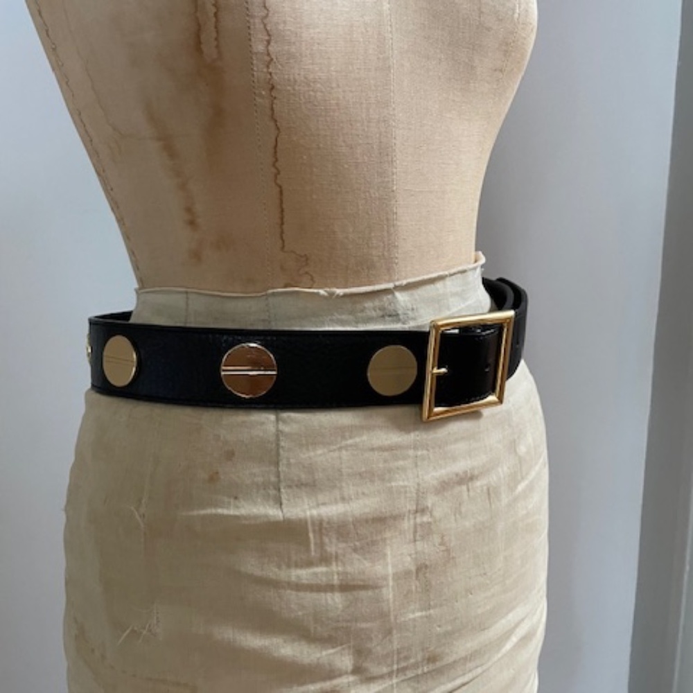 CC Skye Gold Flat Disc Hardware Black Belt